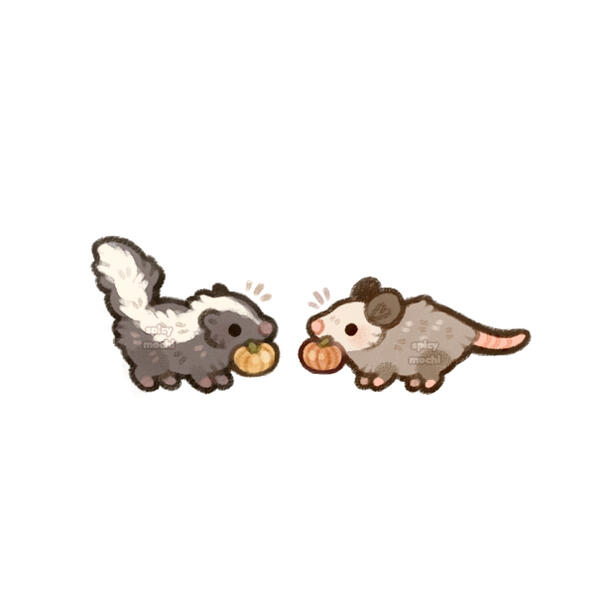 Illustration of an even tinier skunk and possum who stole pumpkins from the pumpkin patch