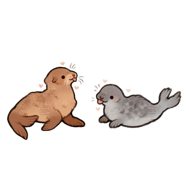 Silly sea lion and seal friend